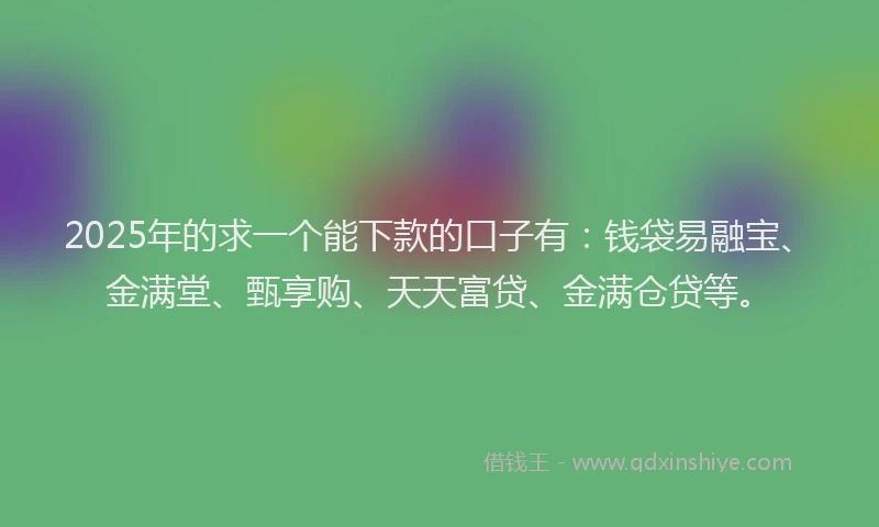 2025年的求一个能下款的口子有：钱袋易融宝、金满堂、甄享购、天天富贷、金满仓贷等。