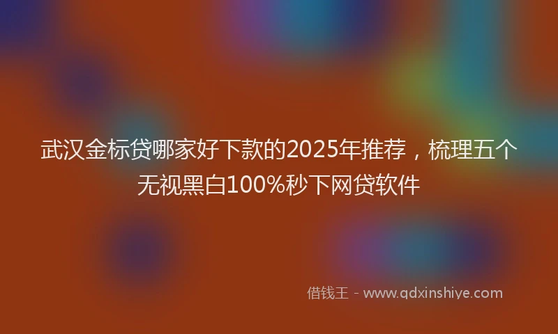 武汉金标贷哪家好下款的2025年推荐，梳理五个无视黑白100%秒下网贷软件