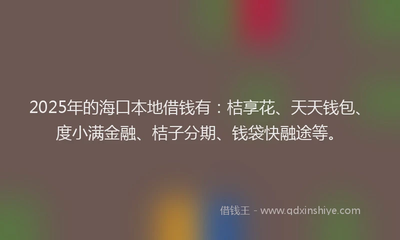 2025年的海口本地借钱有：桔享花、天天钱包、度小满金融、桔子分期、钱袋快融途等。