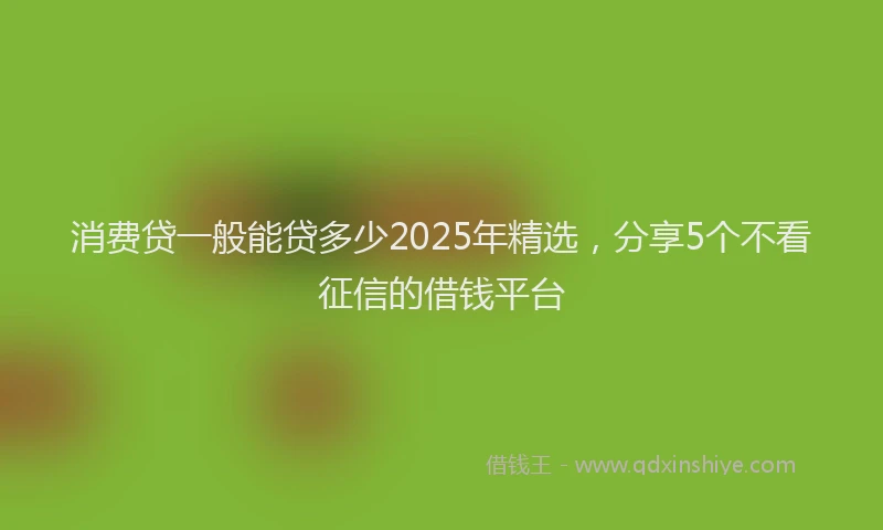 消费贷一般能贷多少2025年精选，分享5个不看征信的借钱平台
