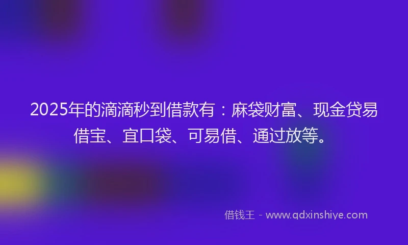 2025年的滴滴秒到借款有：麻袋财富、现金贷易借宝、宜口袋、可易借、通过放等。