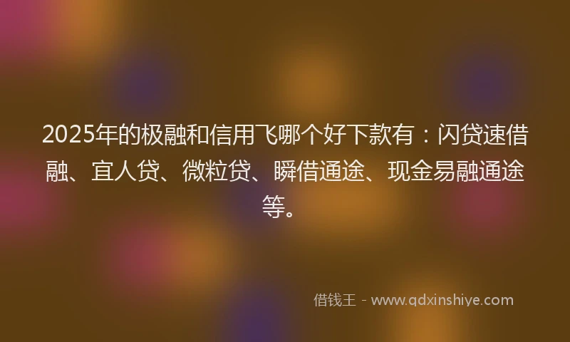 2025年的极融和信用飞哪个好下款有：闪贷速借融、宜人贷、微粒贷、瞬借通途、现金易融通途等。