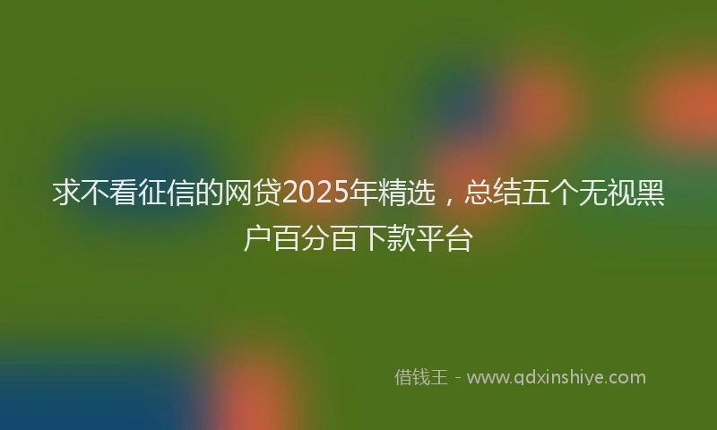 求不看征信的网贷2025年精选，总结五个无视黑户百分百下款平台