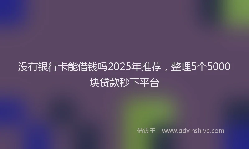 没有银行卡能借钱吗2025年推荐，整理5个5000块贷款秒下平台