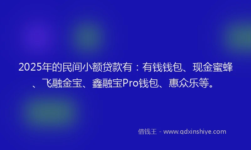 2025年的民间小额贷款有：有钱钱包、现金蜜蜂、飞融金宝、鑫融宝Pro钱包、惠众乐等。