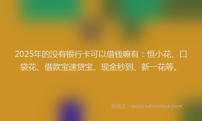 2025年的没有银行卡可以借钱嘛有：恒小花、口袋花、借款宝速贷宝、现金秒到、新一花等。