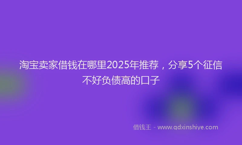 淘宝卖家借钱在哪里2025年推荐，分享5个征信不好负债高的口子