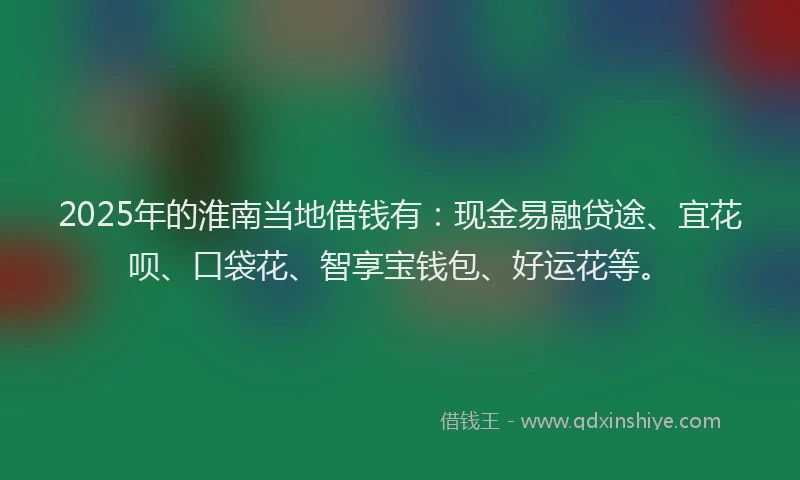 2025年的淮南当地借钱有：现金易融贷途、宜花呗、口袋花、智享宝钱包、好运花等。