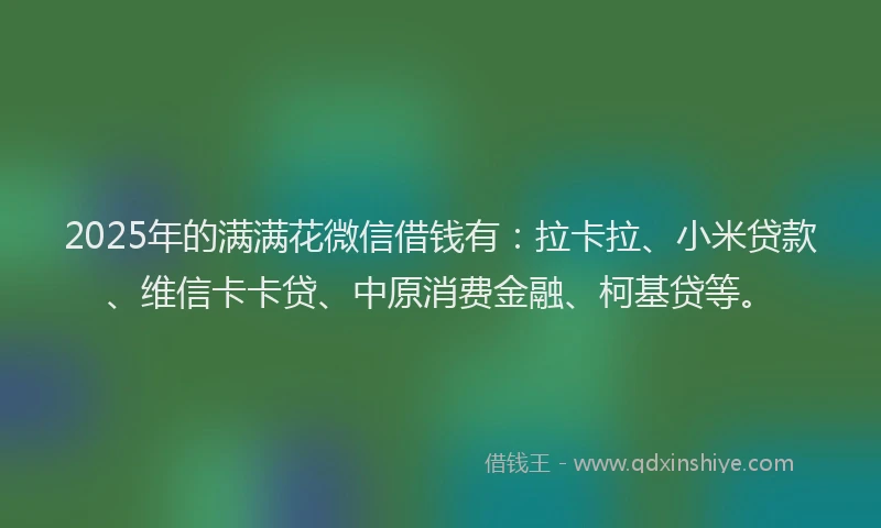 2025年的满满花微信借钱有：拉卡拉、小米贷款、维信卡卡贷、中原消费金融、柯基贷等。