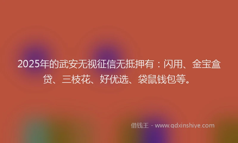 2025年的武安无视征信无抵押有：闪用、金宝盒贷、三枝花、好优选、袋鼠钱包等。