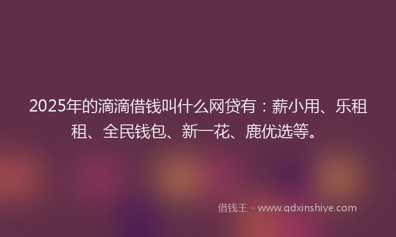 2025年的滴滴借钱叫什么网贷有：薪小用、乐租租、全民钱包、新一花、鹿优选等。