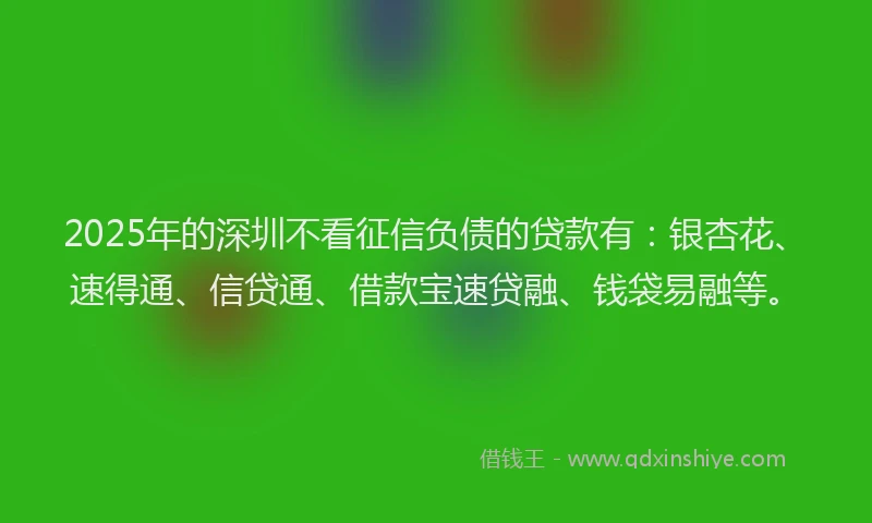 2025年的深圳不看征信负债的贷款有：银杏花、速得通、信贷通、借款宝速贷融、钱袋易融等。