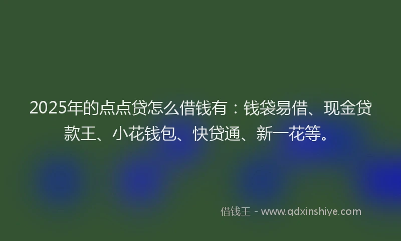 2025年的点点贷怎么借钱有：钱袋易借、现金贷款王、小花钱包、快贷通、新一花等。