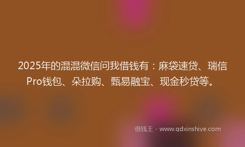2025年的混混微信问我借钱有：麻袋速贷、瑞信Pro钱包、朵拉购、甄易融宝、现金秒贷等。