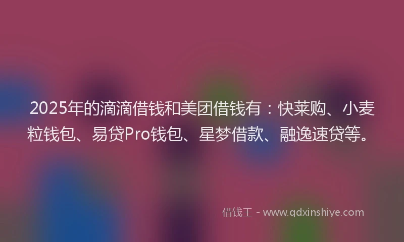 2025年的滴滴借钱和美团借钱有：快莱购、小麦粒钱包、易贷Pro钱包、星梦借款、融逸速贷等。