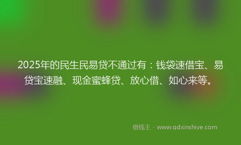2025年的民生民易贷不通过有：钱袋速借宝、易贷宝速融、现金蜜蜂贷、放心借、如心来等。