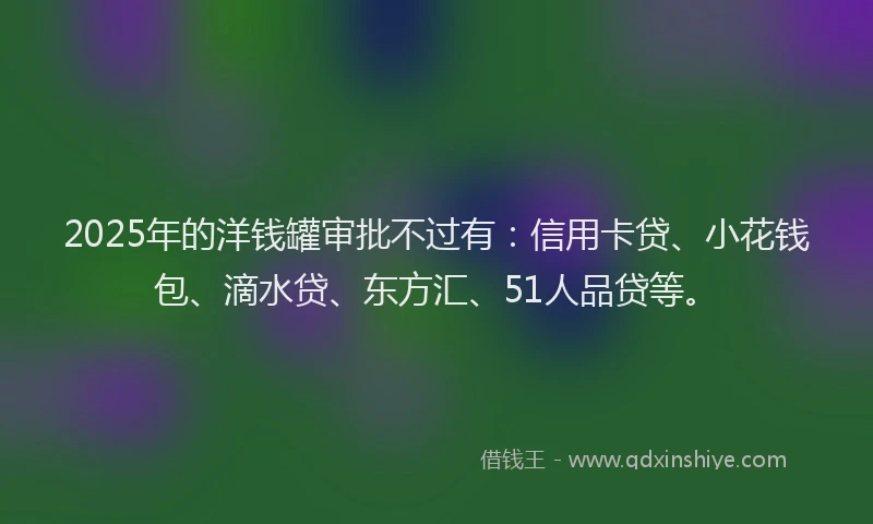2025年的洋钱罐审批不过有：信用卡贷、小花钱包、滴水贷、东方汇、51人品贷等。