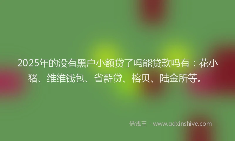 2025年的没有黑户小额贷了吗能贷款吗有：花小猪、维维钱包、省薪贷、榕贝、陆金所等。