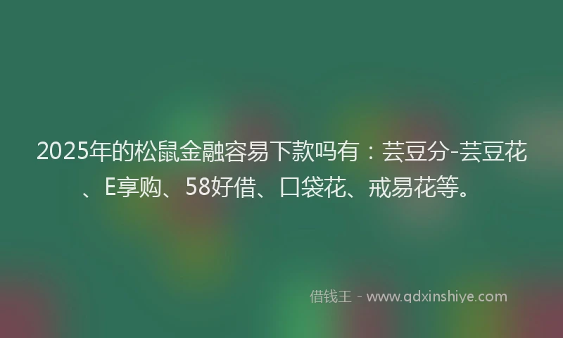 2025年的松鼠金融容易下款吗有：芸豆分-芸豆花、E享购、58好借、口袋花、戒易花等。