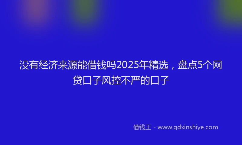 没有经济来源能借钱吗2025年精选，盘点5个网贷口子风控不严的口子