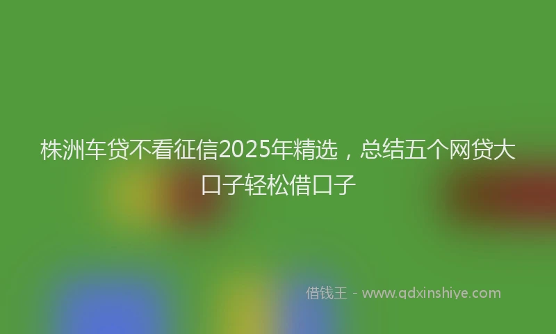 株洲车贷不看征信2025年精选，总结五个网贷大口子轻松借口子