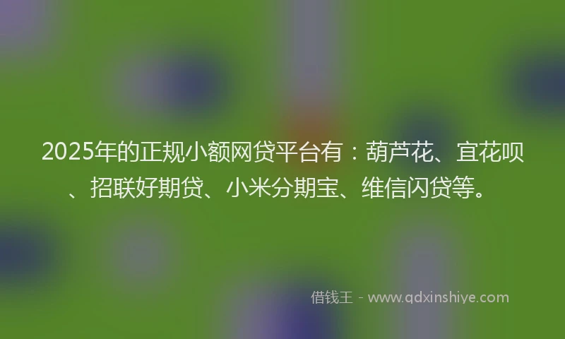 2025年的正规小额网贷平台有：葫芦花、宜花呗、招联好期贷、小米分期宝、维信闪贷等。