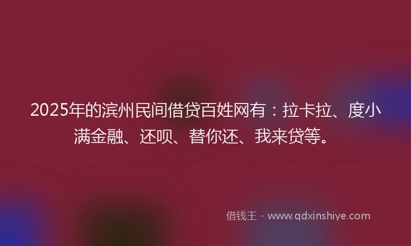 2025年的滨州民间借贷百姓网有：拉卡拉、度小满金融、还呗、替你还、我来贷等。