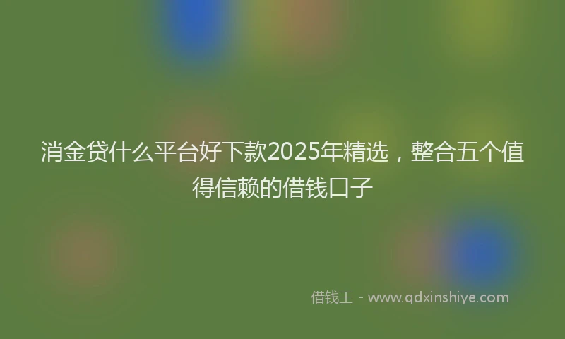 消金贷什么平台好下款2025年精选，整合五个值得信赖的借钱口子