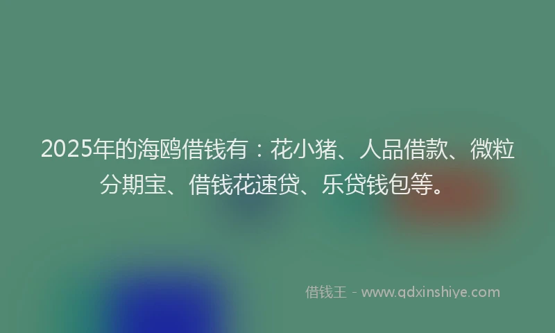 2025年的海鸥借钱有：花小猪、人品借款、微粒分期宝、借钱花速贷、乐贷钱包等。