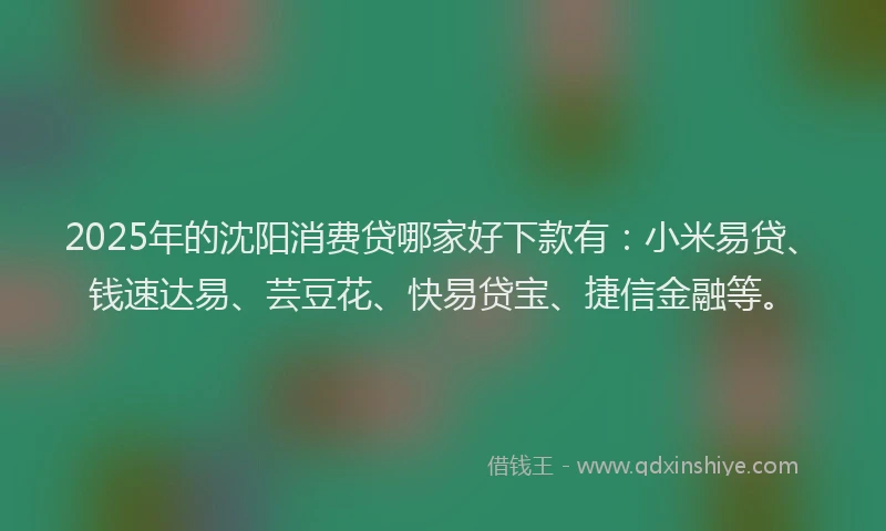 2025年的沈阳消费贷哪家好下款有：小米易贷、钱速达易、芸豆花、快易贷宝、捷信金融等。