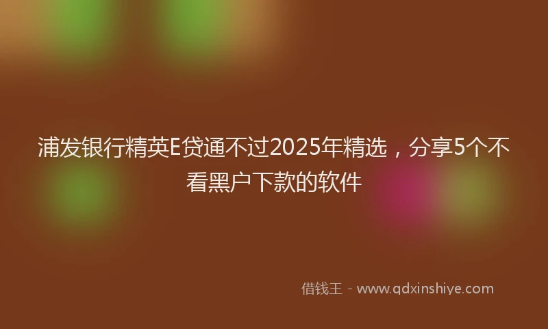 浦发银行精英E贷通不过2025年精选，分享5个不看黑户下款的软件
