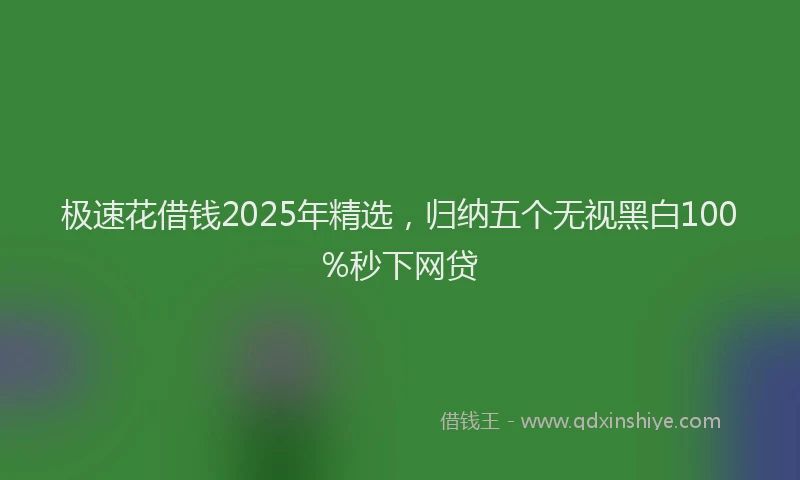 极速花借钱2025年精选，归纳五个无视黑白100%秒下网贷