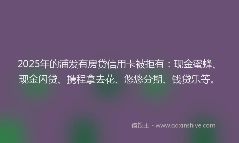 2025年的浦发有房贷信用卡被拒有：现金蜜蜂、现金闪贷、携程拿去花、悠悠分期、钱贷乐等。