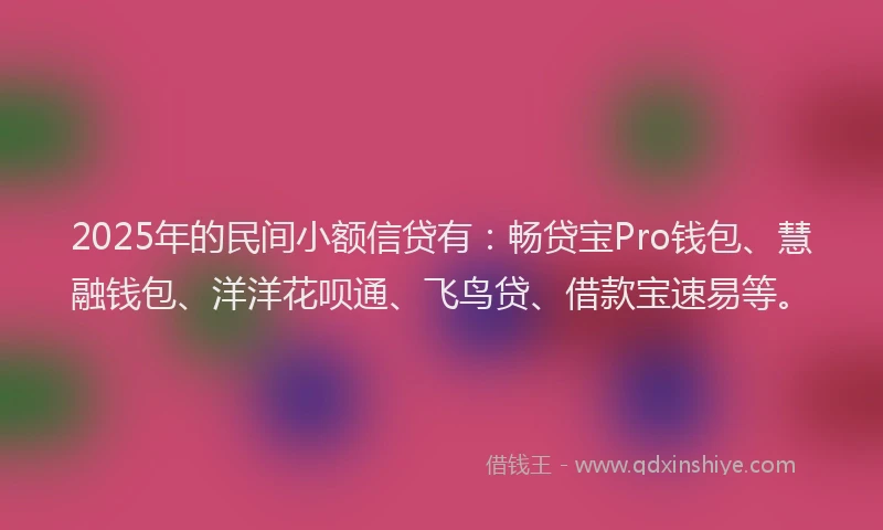 2025年的民间小额信贷有：畅贷宝Pro钱包、慧融钱包、洋洋花呗通、飞鸟贷、借款宝速易等。