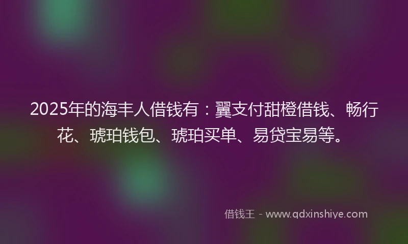 2025年的海丰人借钱有：翼支付甜橙借钱、畅行花、琥珀钱包、琥珀买单、易贷宝易等。