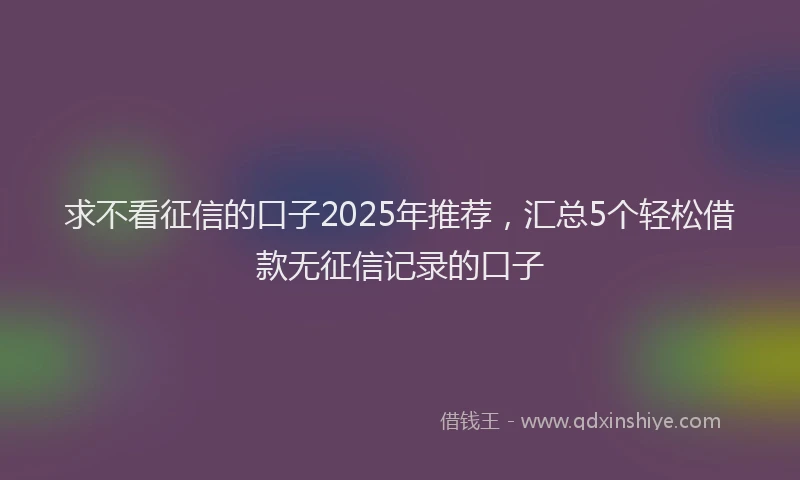 求不看征信的口子2025年推荐，汇总5个轻松借款无征信记录的口子