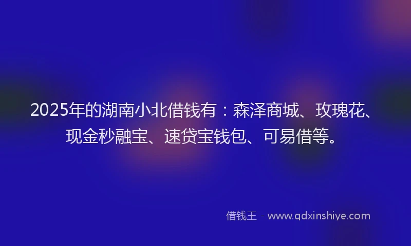2025年的湖南小北借钱有：森泽商城、玫瑰花、现金秒融宝、速贷宝钱包、可易借等。