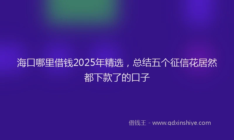 海口哪里借钱2025年精选，总结五个征信花居然都下款了的口子