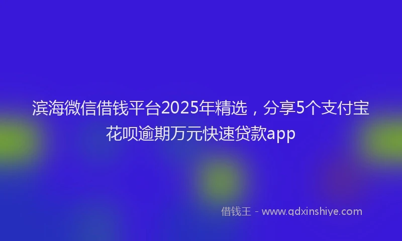 滨海微信借钱平台2025年精选，分享5个支付宝花呗逾期万元快速贷款app