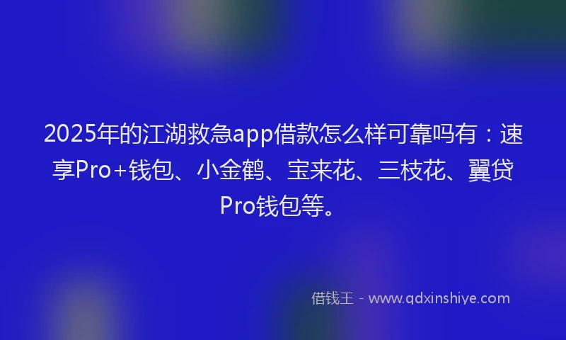 2025年的江湖救急app借款怎么样可靠吗有：速享Pro+钱包、小金鹤、宝来花、三枝花、翼贷Pro钱包等。