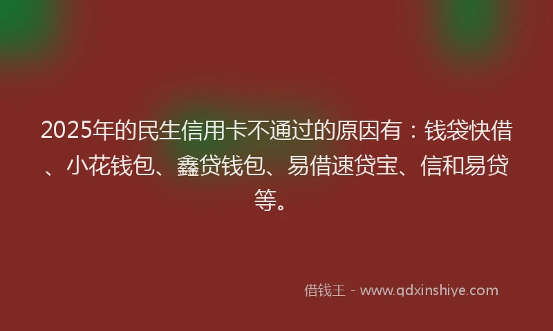 2025年的民生信用卡不通过的原因有：钱袋快借、小花钱包、鑫贷钱包、易借速贷宝、信和易贷等。