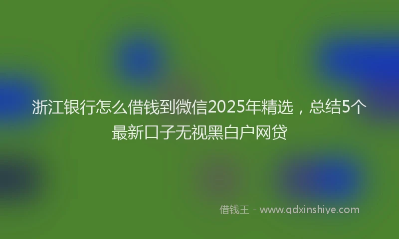 浙江银行怎么借钱到微信2025年精选，总结5个最新口子无视黑白户网贷
