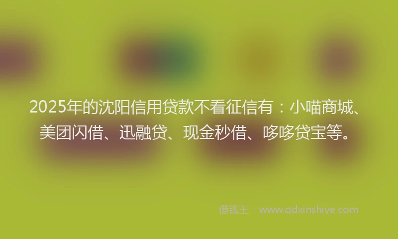 2025年的沈阳信用贷款不看征信有：小喵商城、美团闪借、迅融贷、现金秒借、哆哆贷宝等。