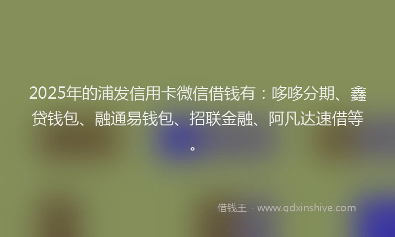 2025年的浦发信用卡微信借钱有：哆哆分期、鑫贷钱包、融通易钱包、招联金融、阿凡达速借等。