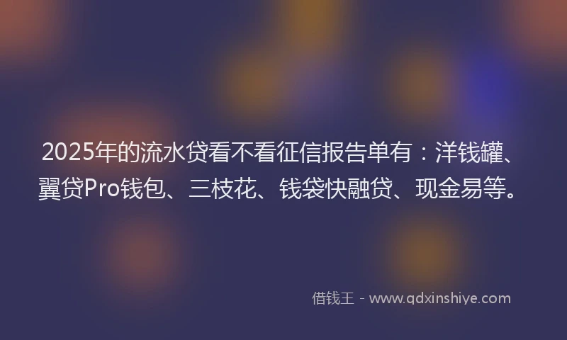2025年的流水贷看不看征信报告单有：洋钱罐、翼贷Pro钱包、三枝花、钱袋快融贷、现金易等。