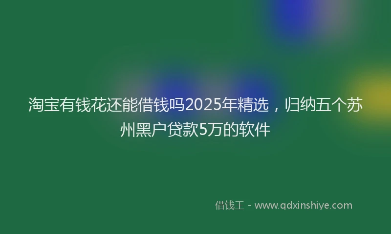 淘宝有钱花还能借钱吗2025年精选，归纳五个苏州黑户贷款5万的软件