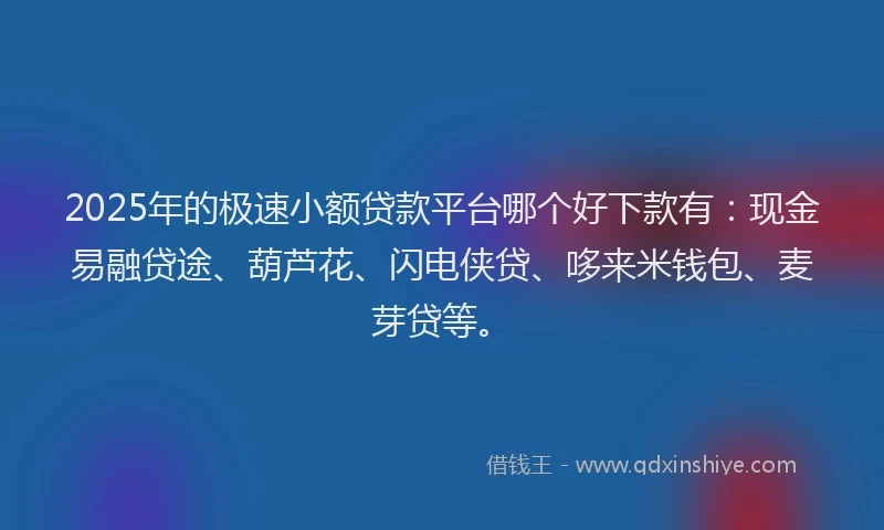 2025年的极速小额贷款平台哪个好下款有：现金易融贷途、葫芦花、闪电侠贷、哆来米钱包、麦芽贷等。