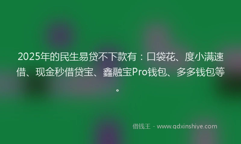2025年的民生易贷不下款有：口袋花、度小满速借、现金秒借贷宝、鑫融宝Pro钱包、多多钱包等。