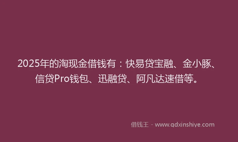 2025年的淘现金借钱有：快易贷宝融、金小豚、信贷Pro钱包、迅融贷、阿凡达速借等。