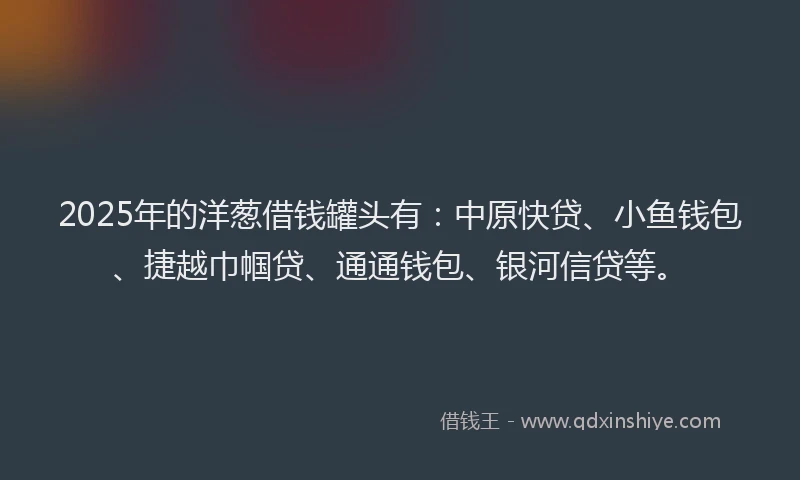 2025年的洋葱借钱罐头有：中原快贷、小鱼钱包、捷越巾帼贷、通通钱包、银河信贷等。